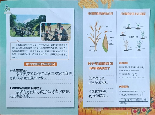 【幸福教育】“麦”向未来 心系国防——焦东路小学开展研学实践活动