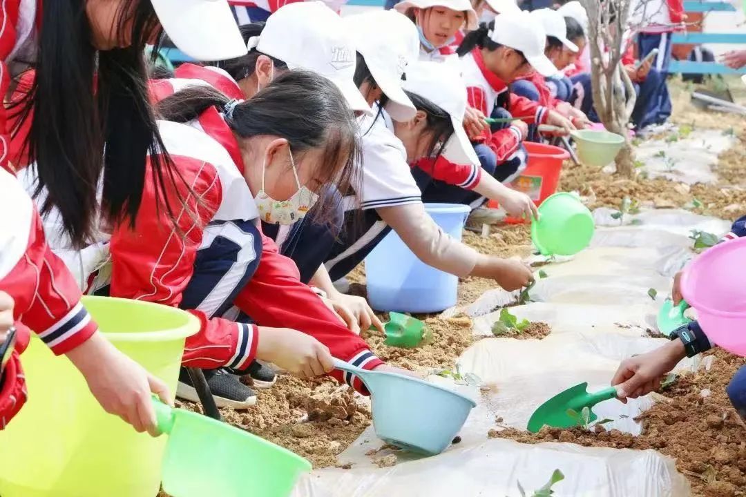 踏青丨花草香,少年游,春日研学正当时 踏青丨花草香,少年游,春日研学正当时
