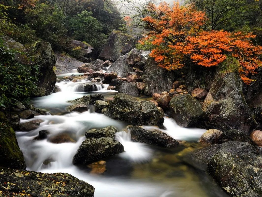 研学基地 | 翡翠谷秋季研学游，开启一场自然与知识的盛宴