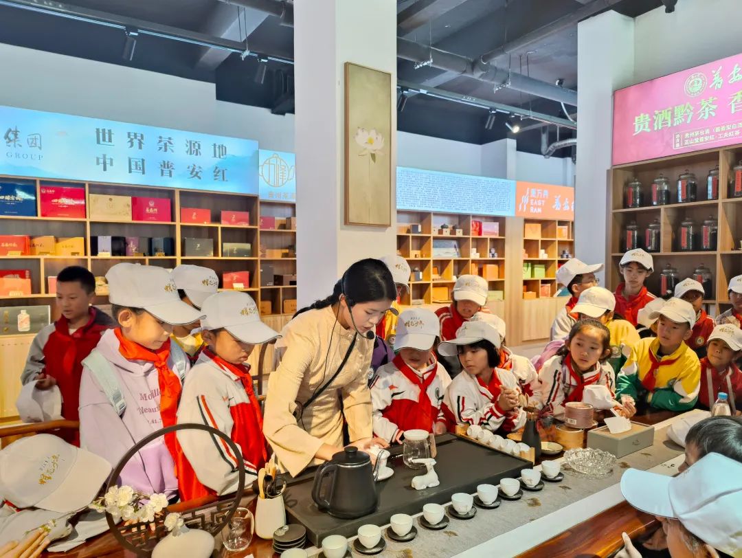 青春童行之普安红研学|茶韵悠悠，童心飞扬