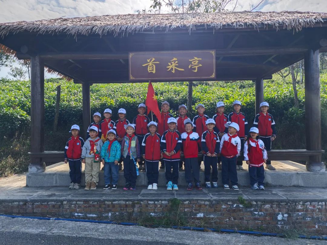 青春童行之普安红研学|茶韵悠悠，童心飞扬