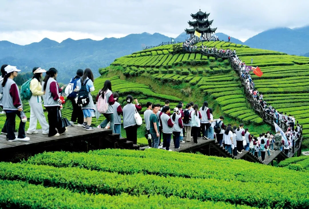 文旅部发文：规范“研学旅游”，明确了3个归属和5个经营方向！