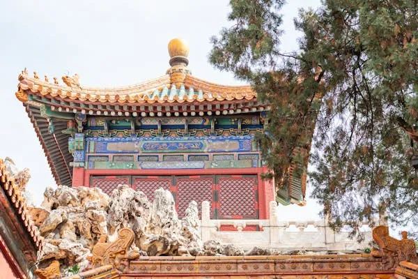 暑期研学新风向:入境火爆追平去年,出境理性增长5%,安全与深度成焦点! 暑期研学新风向:入境火爆追平去年,出境理性增长5%,安全与深度成焦点!