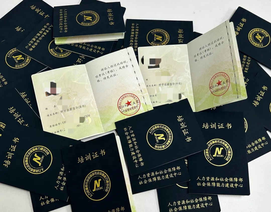 从“量的积累”到“质的提升”:解码研学游市场的变革逻辑与未来图景 从“量的积累”到“质的提升”:解码研学游市场的变革逻辑与未来图景