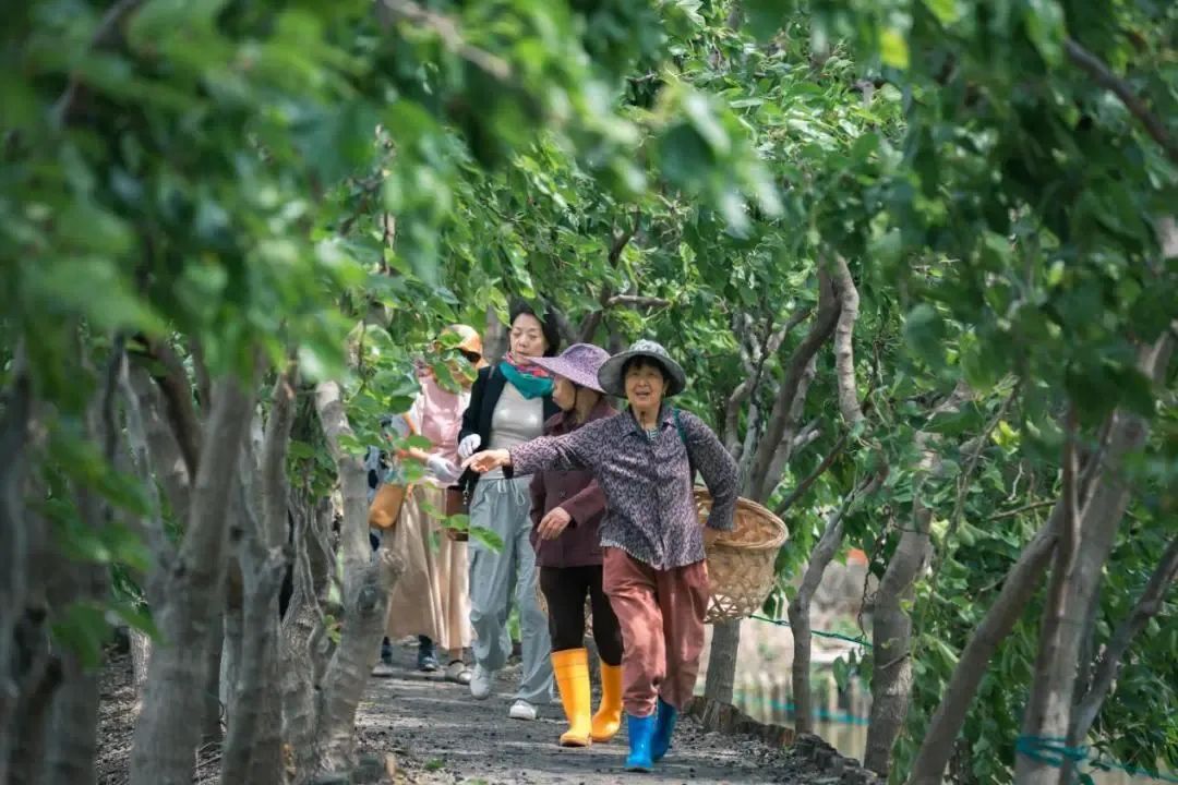 WechatIMG22.jpg 银发研学游爆火!如何打造中老年人的第二课堂?