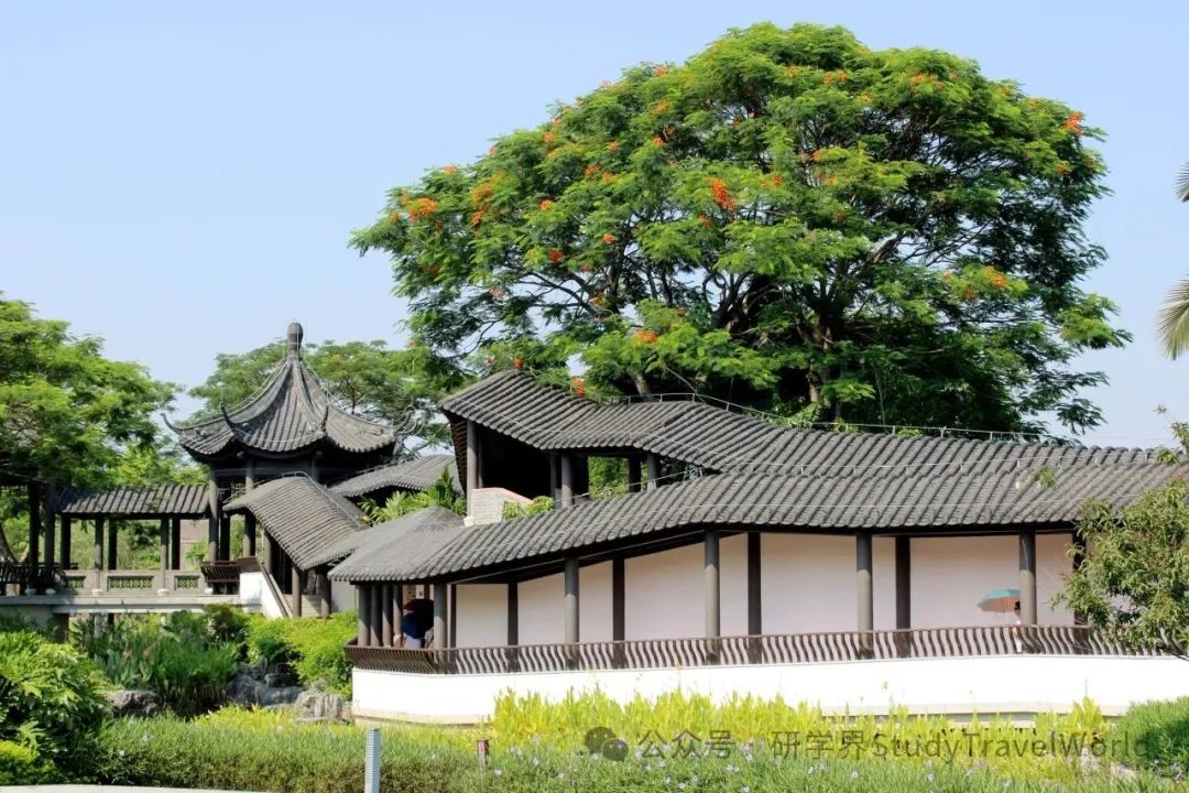 第十七期广东省研学指导师(中级)培训顺利举办!专业赋能,实战为本 图片