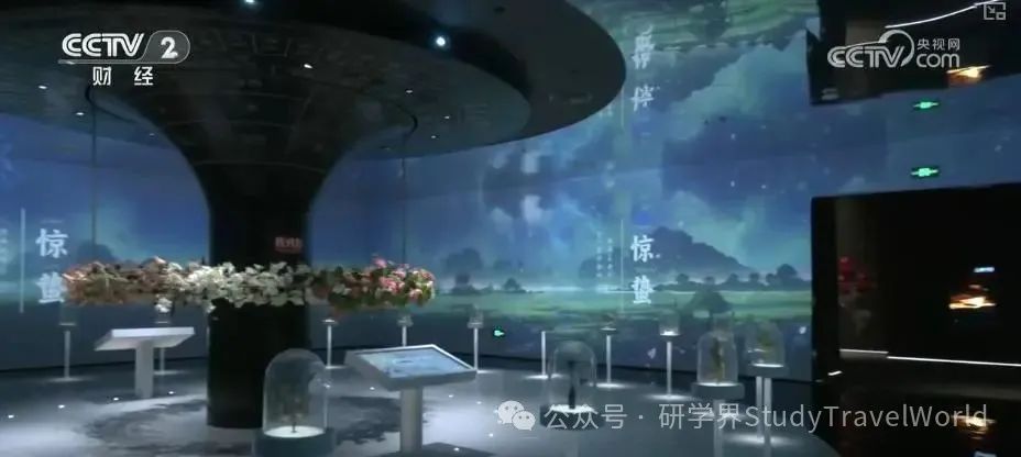 央视：“自然文化+智能科技”研学项目走俏 海外研学团来华热度攀升