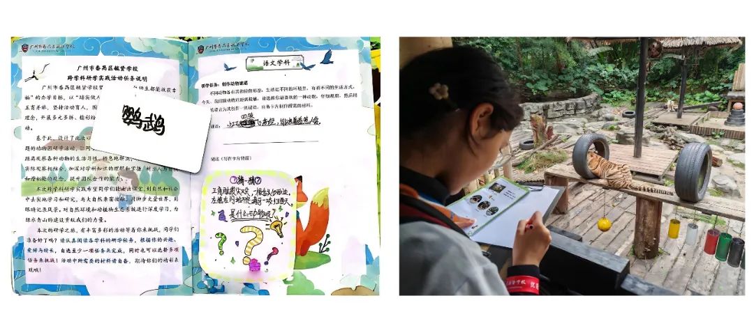 母亲节金融保险节日产品营销实景风手机海报 (4).jpg
