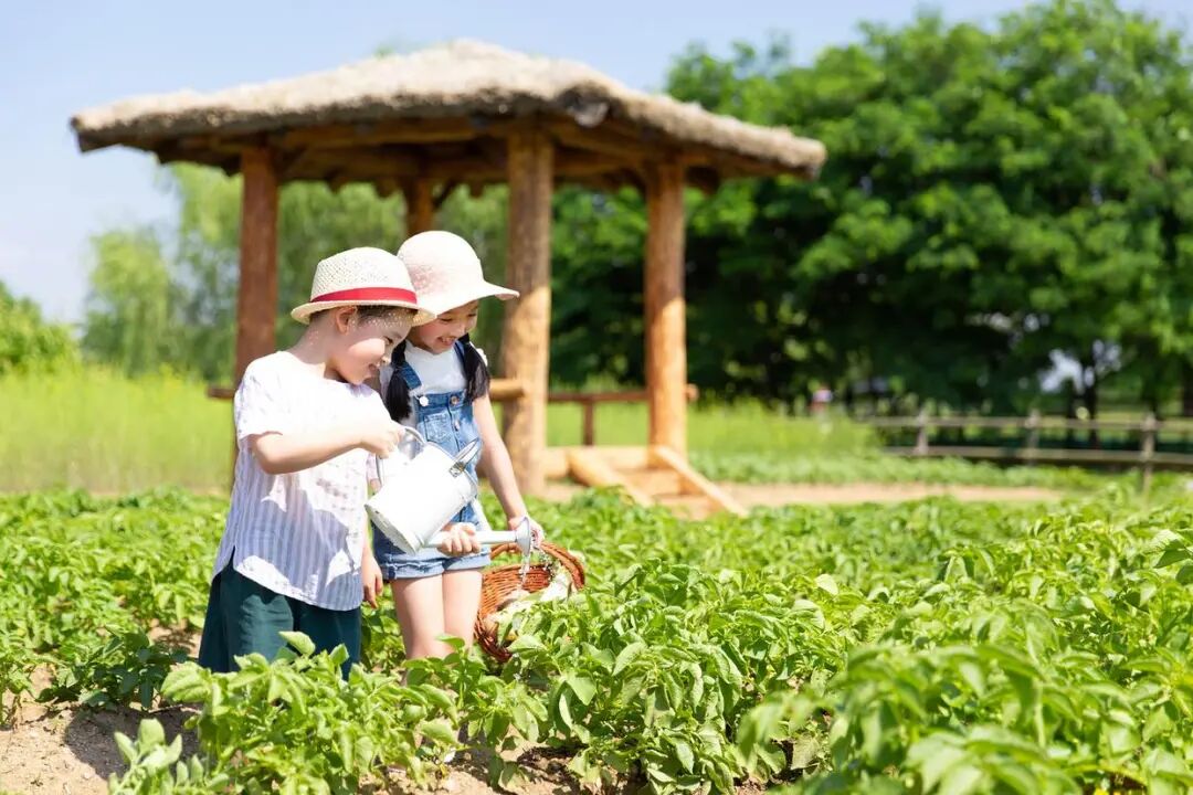 科技游火爆,亲子游遇冷,今年暑期研学市场“冰火两重天” 科技游火爆,亲子游遇冷,今年暑期研学市场“冰火两重天”