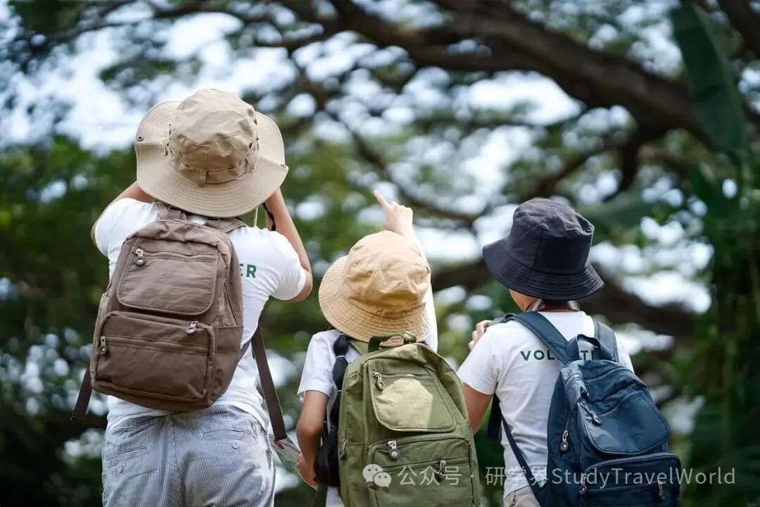 科技游火爆，亲子游遇冷，今年暑期研学市场“冰火两重天”
