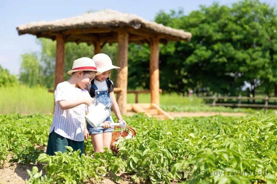 科技游火爆,亲子游遇冷,今年暑期研学市场“冰火两重天” 科技游火爆,亲子游遇冷,今年暑期研学市场“冰火两重天”