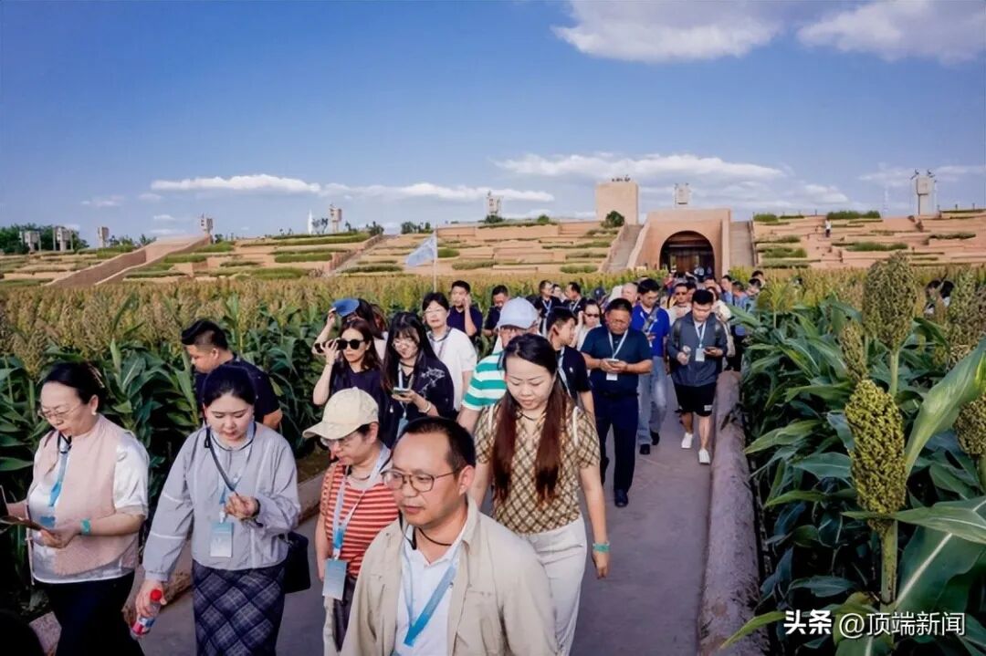 全国百家研学团齐聚！解锁文武郑州研学游新玩法