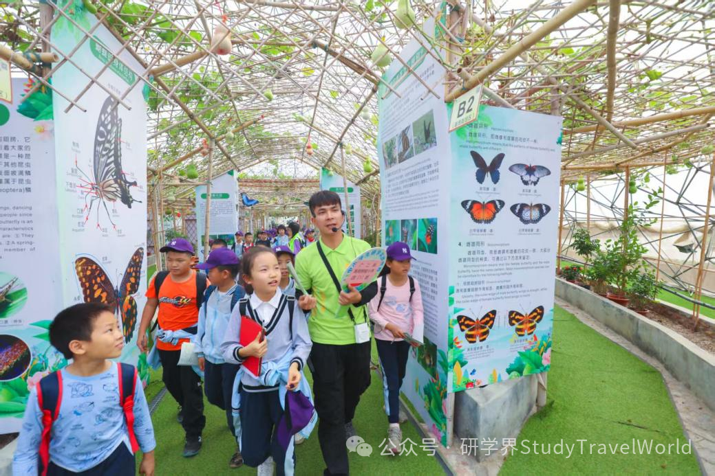 2025年度广东省特色研学旅游产品征集工作圆满收官! 图片