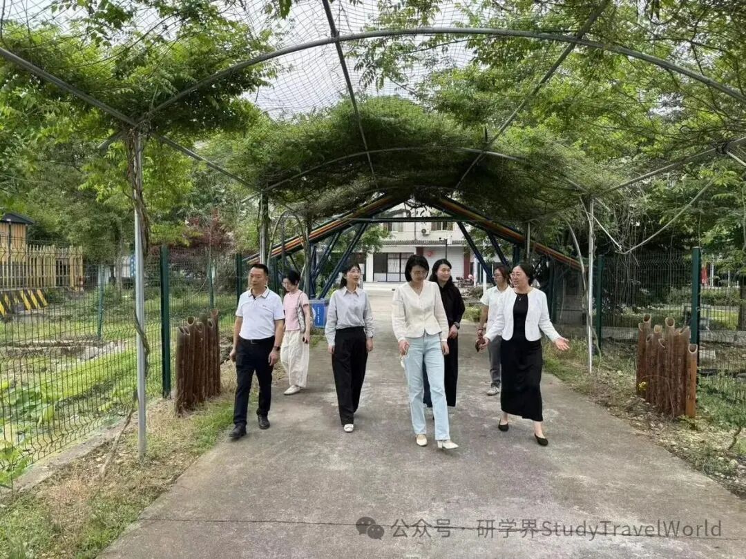 深耕开化文化沃土，浙旅职院专项团队助力“研学游”迈向“研学优”