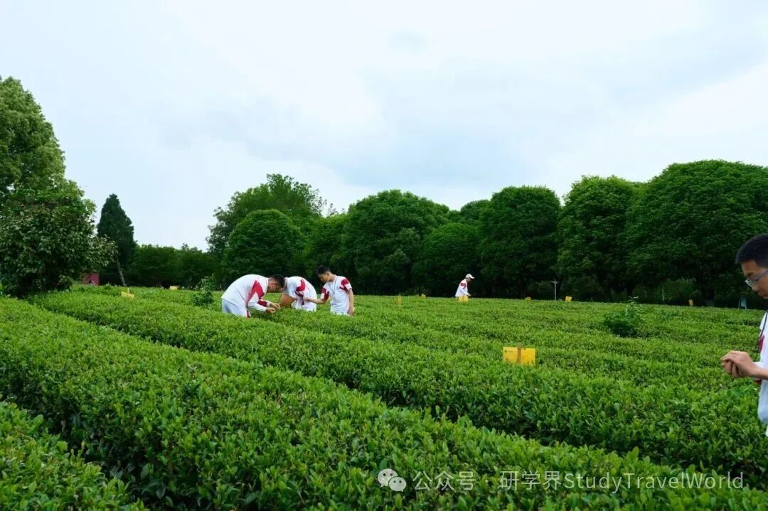 国办发文点名!旅游市场“大数据杀熟”、重点监测亲子游、研学游相关包价旅游产品 7HI05520-opq3606806873.jpg