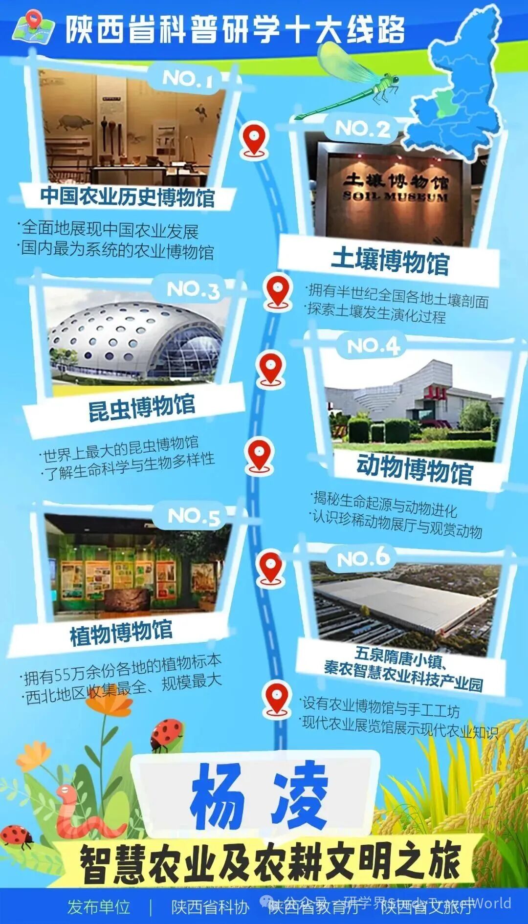 涵盖科技、大熊猫等！10大科普研学线路正式发布【附详细线路】