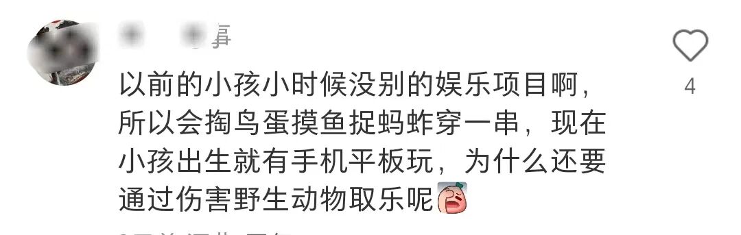打着“自然教育”的旗号,却将“掏鸟蛋”纳入研学课程? 打着“自然教育”的旗号,却将“掏鸟蛋”纳入研学课程?