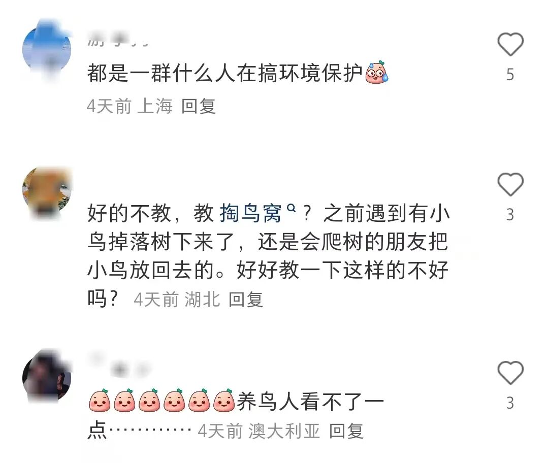 打着“自然教育”的旗号，却将“掏鸟蛋”纳入研学课程？