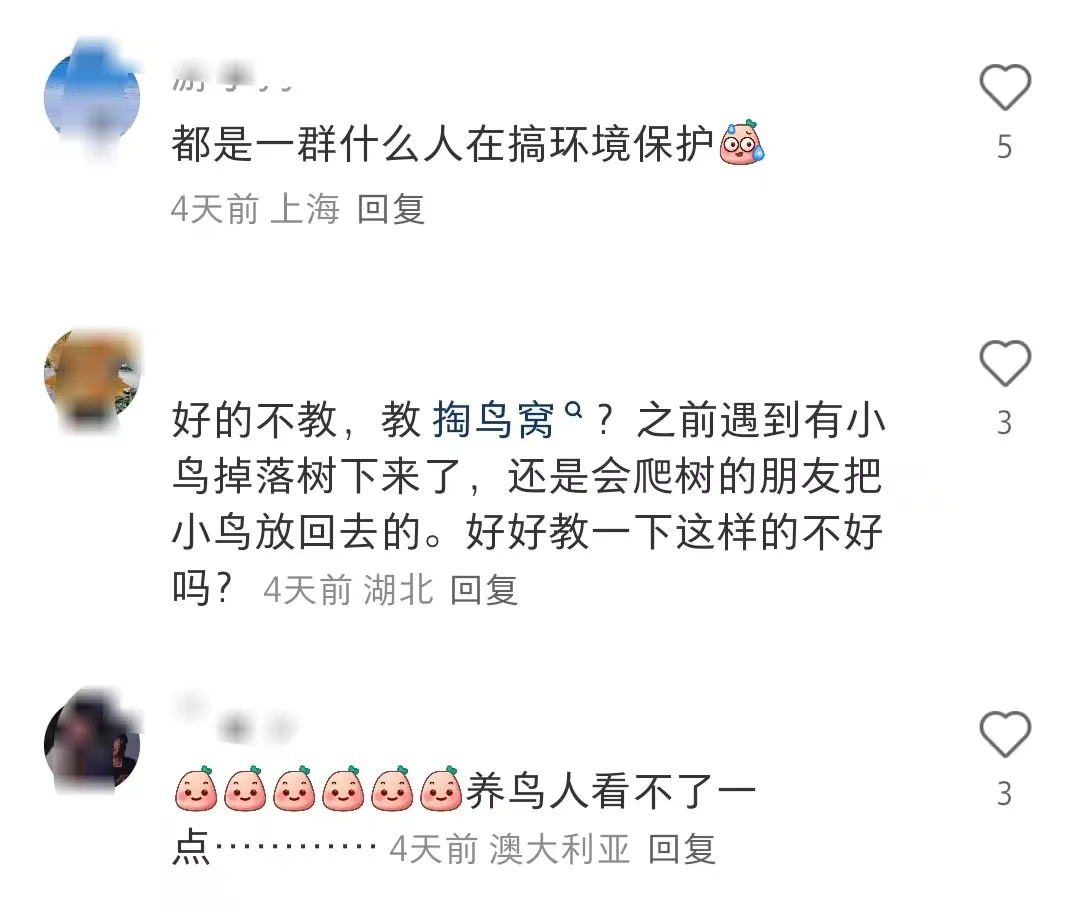 热点!这样的研学“课程”设计,你怎么看? 图片