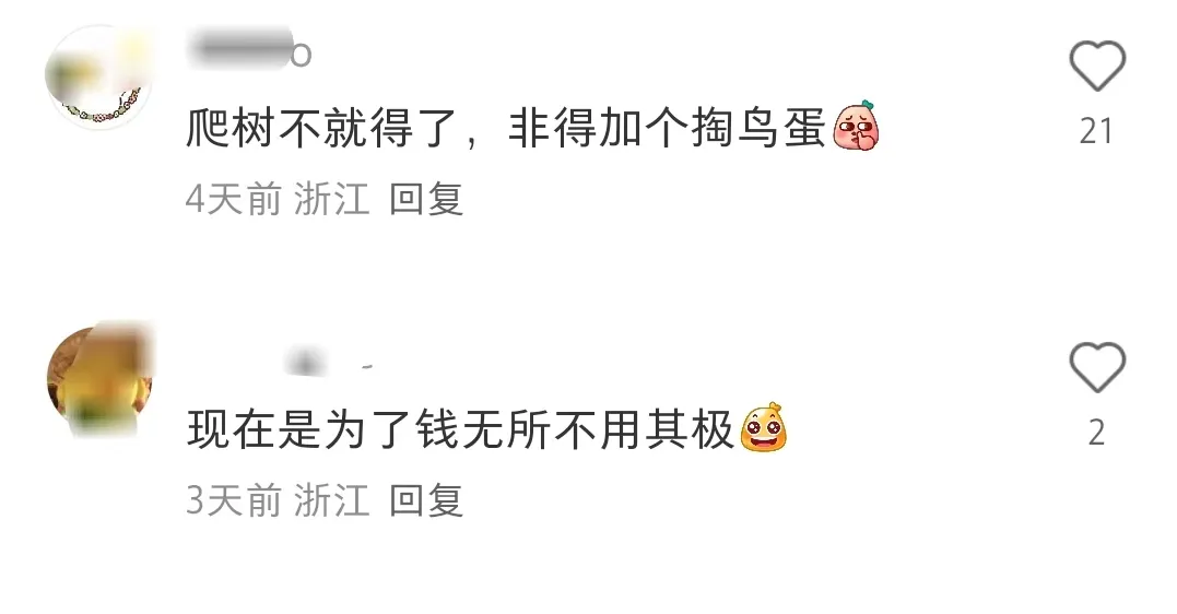 热点!这样的研学“课程”设计,你怎么看? 图片
