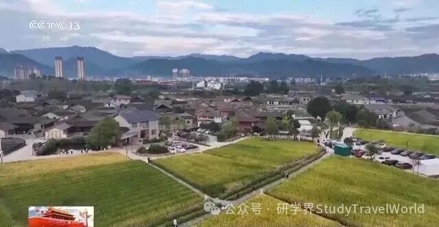 陶艺非遗体验、茶文化研学……这个假期“乡村游”火热！