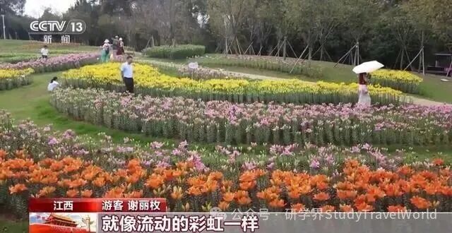 陶艺非遗体验、茶文化研学……这个假期“乡村游”火热！