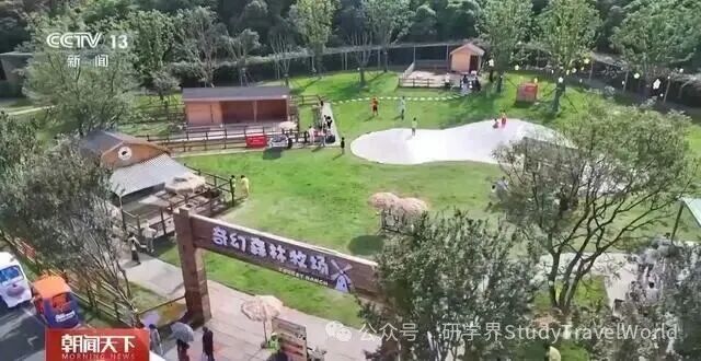 陶艺非遗体验、茶文化研学……这个假期“乡村游”火热！