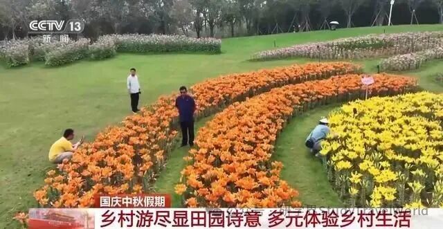 陶艺非遗体验、茶文化研学……这个假期“乡村游”火热！