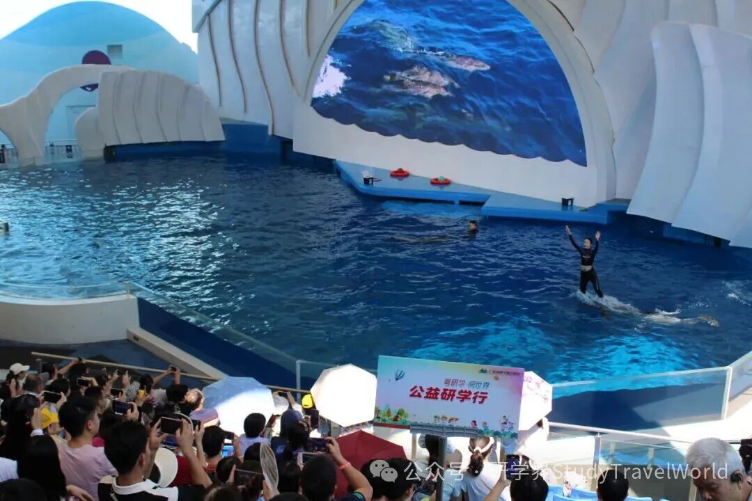 【公益研学行】2025年第二期回顾:探秘蔚蓝世界,守护海洋梦想 【公益研学行】2025年第二期回顾:探秘蔚蓝世界,守护海洋梦想