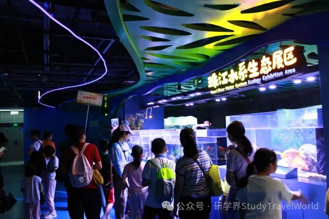 【公益研学行】2025年第二期回顾:探秘蔚蓝世界,守护海洋梦想 【公益研学行】2025年第二期回顾:探秘蔚蓝世界,守护海洋梦想