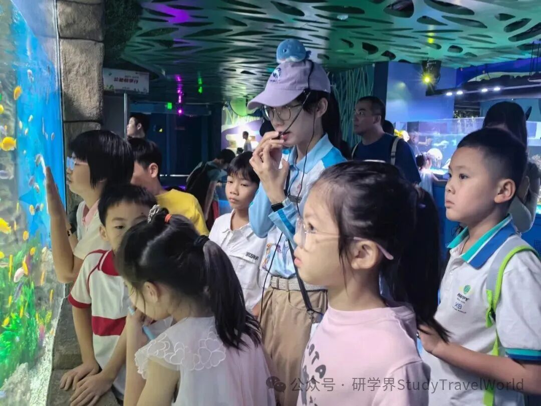 【公益研学行】2025年第二期回顾:探秘蔚蓝世界,守护海洋梦想 【公益研学行】2025年第二期回顾:探秘蔚蓝世界,守护海洋梦想