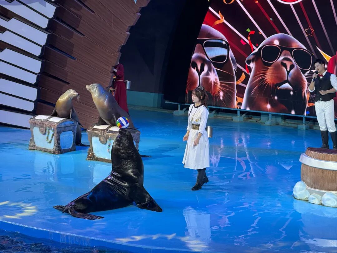 研学回顾 | 穿越蔚蓝世界，探索生命奇迹