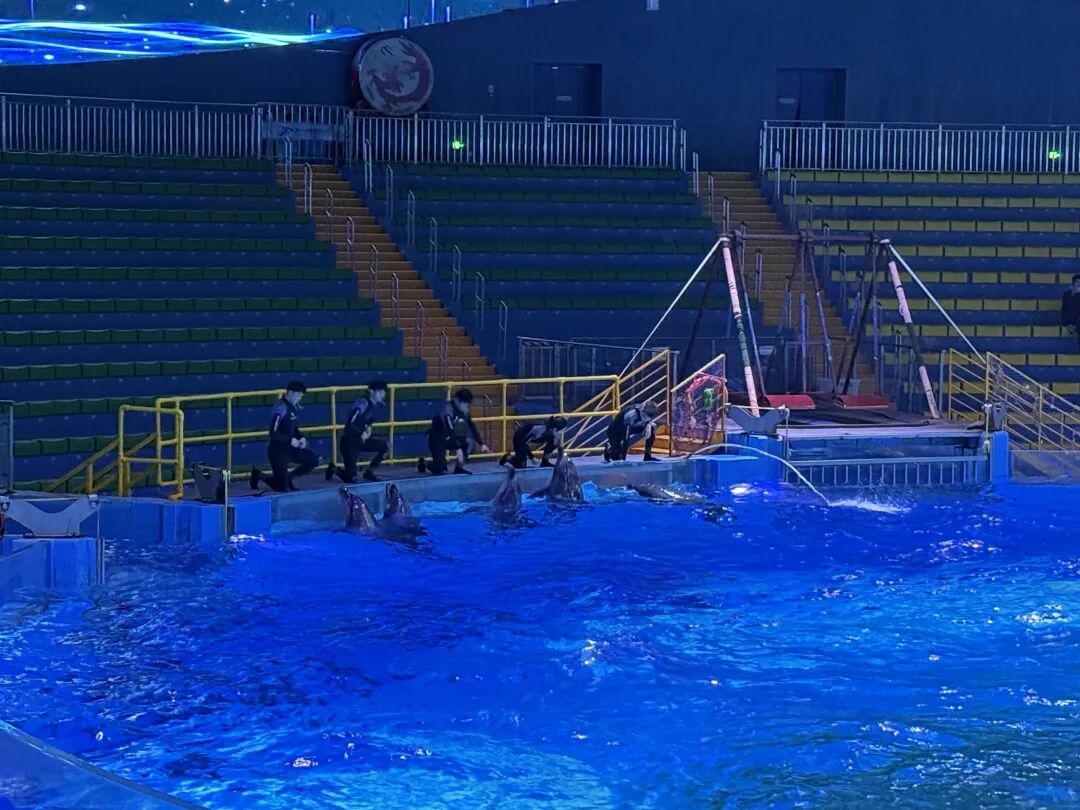 研学回顾 | 穿越蔚蓝世界，探索生命奇迹