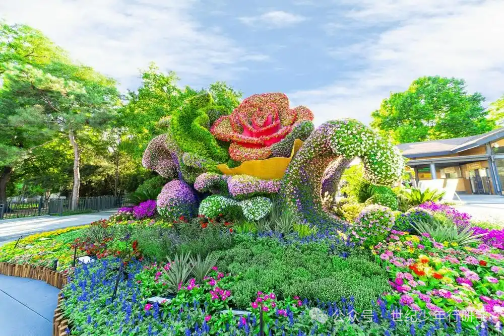 2025年国庆北京研学市场全面解析 图片