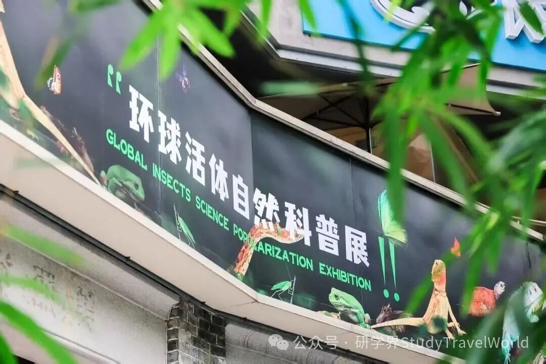 佛山首个秋假来了！机票预订量暴涨，引爆淡季旅游市场