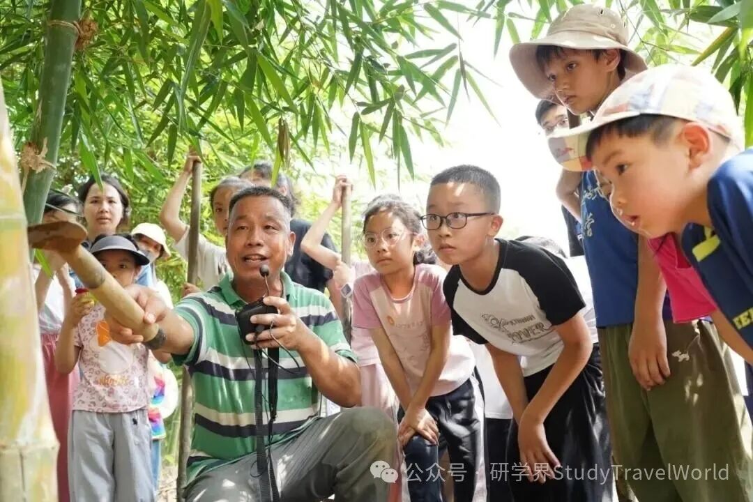 佛山首个秋假来了！机票预订量暴涨，引爆淡季旅游市场