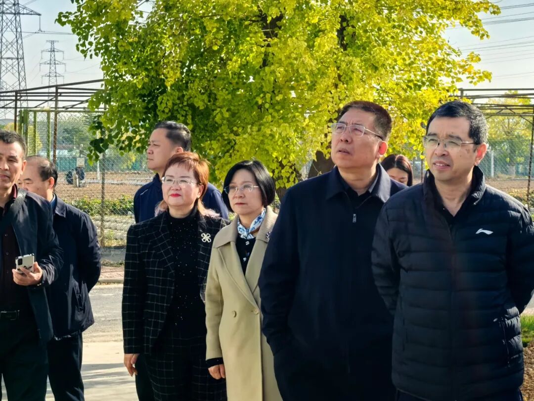 2025年河南省研学资源城市联盟会议在新乡圆满举办