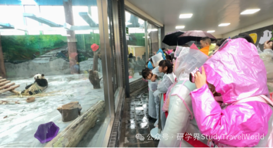 集中徒步、景区研学、免费托管……四川宜宾学生“花式”度过首个秋假