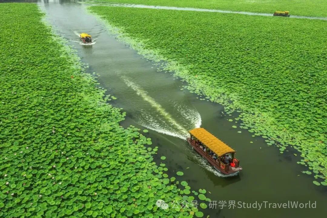 山东济宁：文旅融合，让千年儒韵“潮”起来