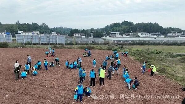 眉山仁寿：研学深耕 绘就文旅融合新画卷