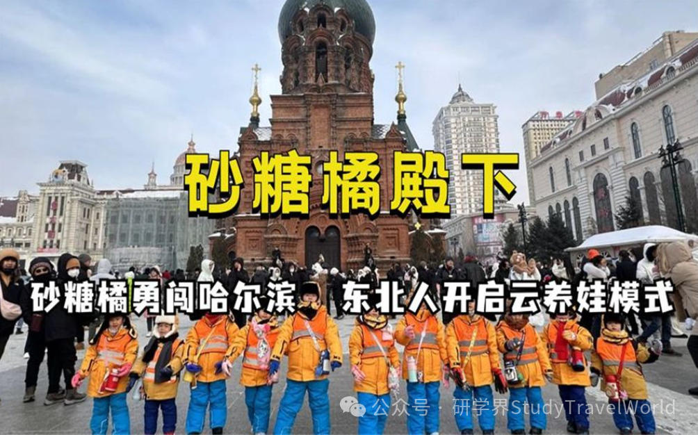 2024年研学旅行行业“十大关键词”