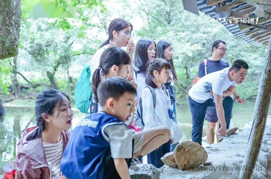 2024年研学旅行行业“十大关键词”