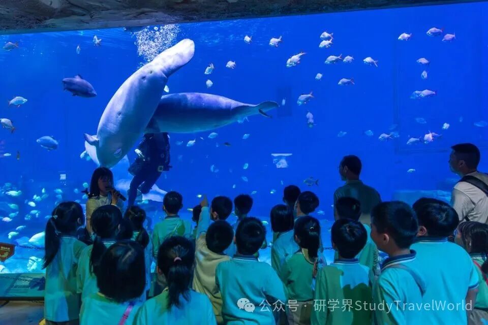 长隆：全国研学领域专家走进横琴长隆