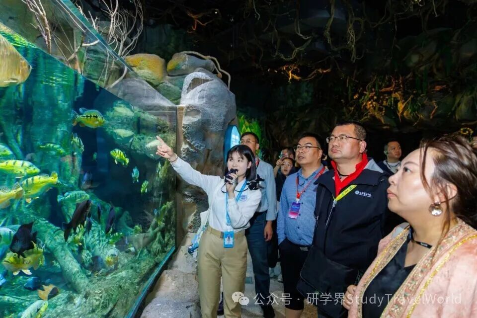 长隆：全国研学领域专家走进横琴长隆