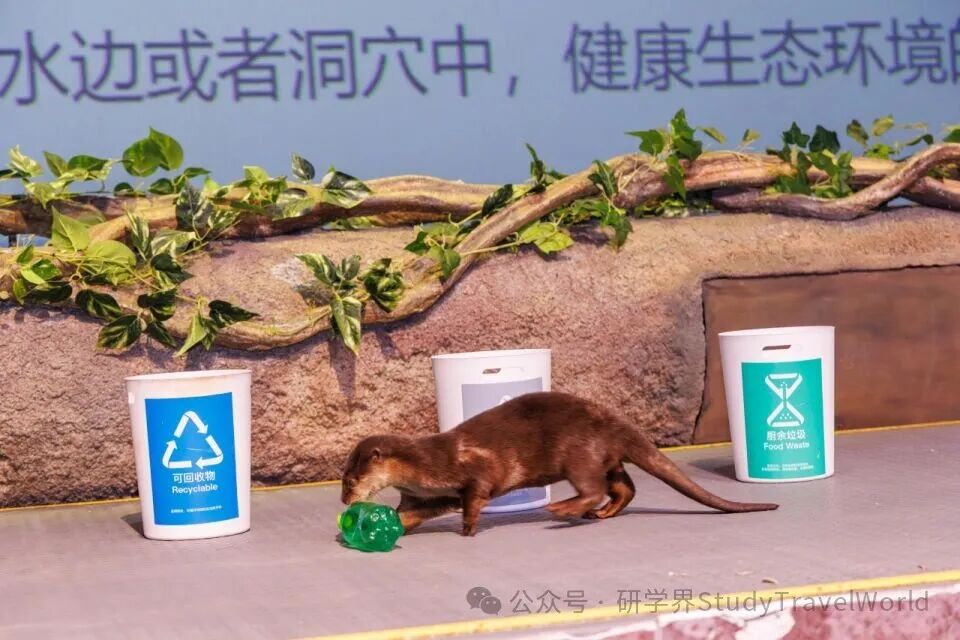 长隆：全国研学领域专家走进横琴长隆