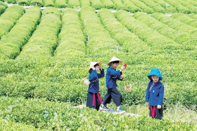 文化中国行丨走进研学旅游基地 体验文化之旅