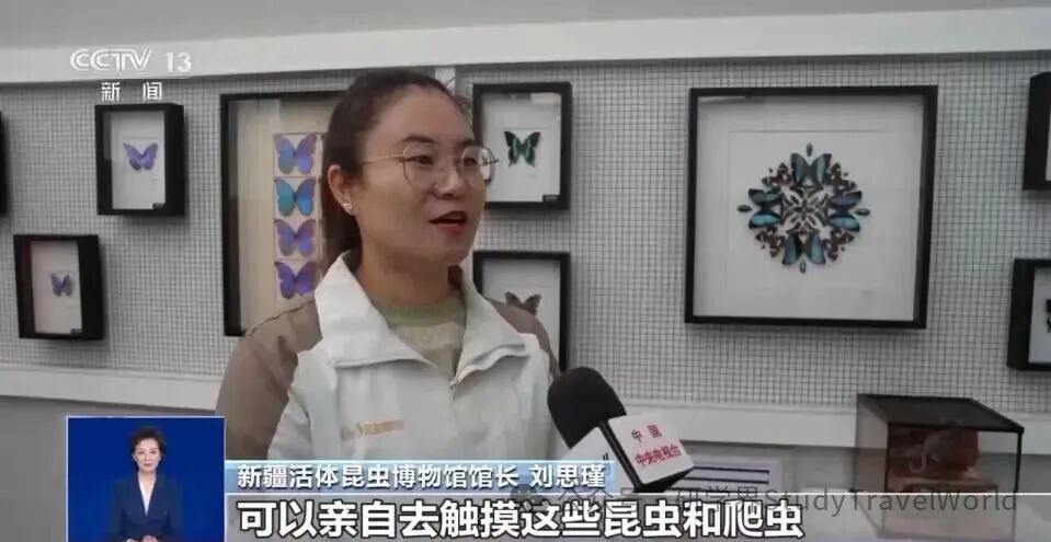 央视：运动+研学 多地首个“雪假”有滋有味乐趣十足