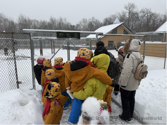 “小砂糖橘”长白山研学之旅圆满结束 图片