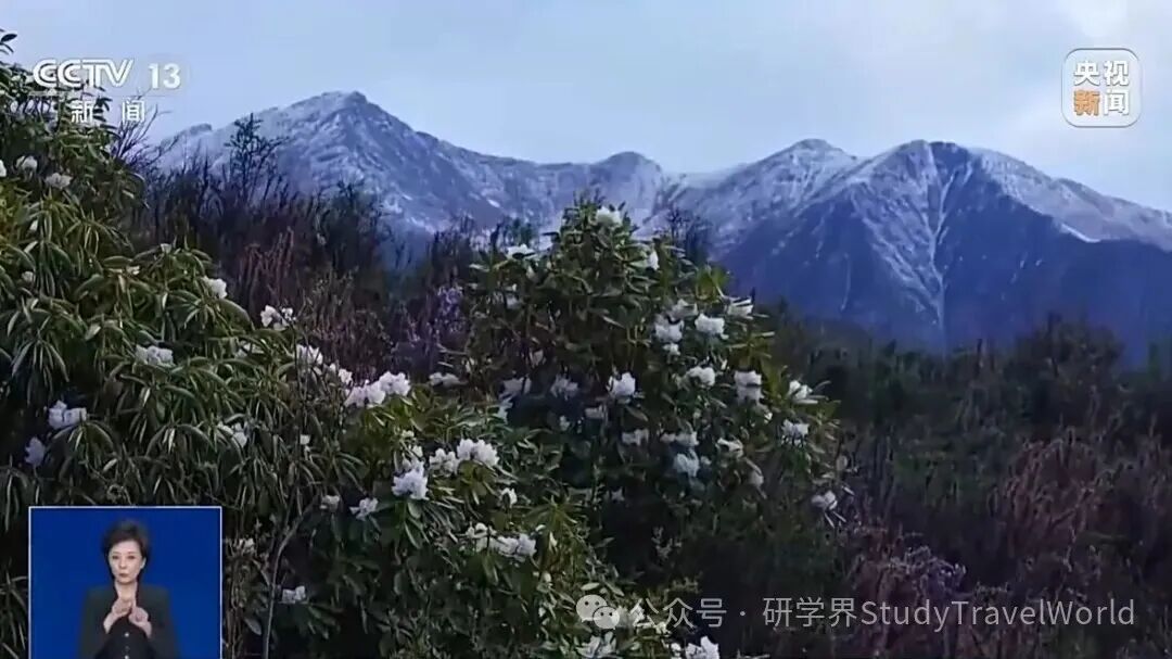 暑期旅游旺季开启!亲子研学与跨境研学持续走红 暑期旅游旺季开启!亲子研学与跨境研学持续走红