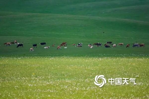 跟着语文课本赴一场山河之约 全国暑期亲子游地图新鲜出炉 跟着语文课本赴一场山河之约 全国暑期亲子游地图新鲜出炉